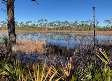 alabama/fairhope/attraction/bon-secour-national-wildlife-refuge
