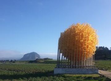 south-korea/jeju-city/attraction/alddreu-airfield