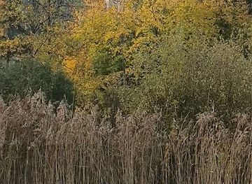 germany/oberammergau/attraction/aussicht-ammerschlossl
