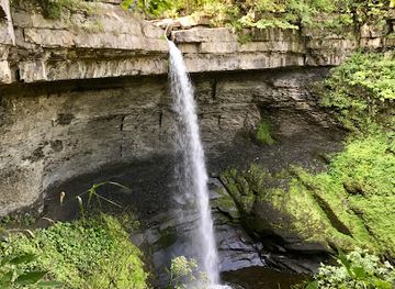 new-york/finger-lakes/attraction/carpenter-falls