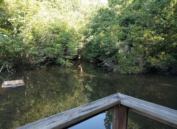 alabama/chattahoochee-river/attraction/kreher-preserve-nature-center