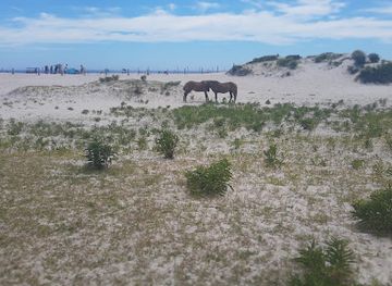 Life of the Dunes Trail