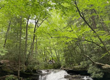 west-virginia/spruce-knob/attraction/kumbrabow-state-forest