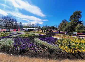 australia/canberra/attraction/ferry-gate-floriade