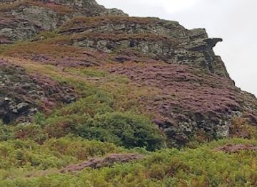 united-kingdom/isle-of-islay/attraction/hangman-s-rock