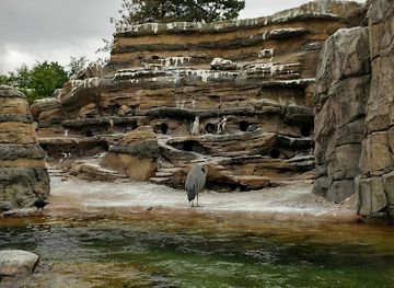 washington/puget-sound/attraction/woodland-park-zoo