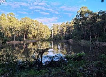 australia/northern-victoria/attraction/belgrave-lake-park