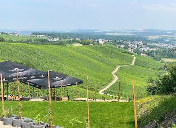 luxembourg/remich/attraction/domaine-goldbierg-benoit-claude