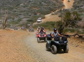 aruba/sero-blanco/attraction/kini-kini-transfer-tours