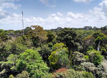 brazil/atlantic-forest/attraction/tapajos-national-forest
