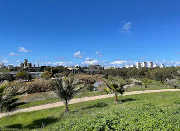 Palm viewpoint