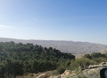 jordan/kerak/attraction/jubilee-forests