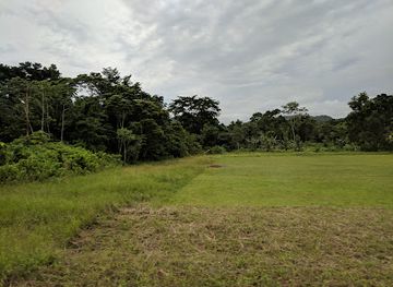 belize/vaca-plateau/attraction/deep-river-forest-reserve