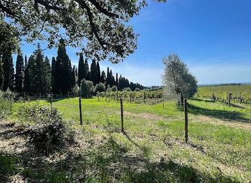 italy/san-gimignano/attraction/viale-dei-cipressi