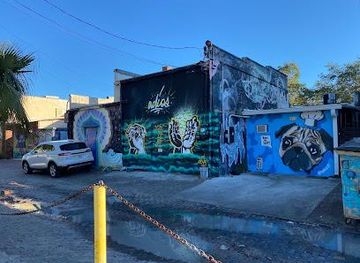 florida/honeymoon-island-state-park/attraction/central-ave