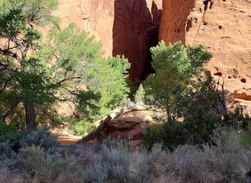 utah/escalante/attraction/singing-canyon