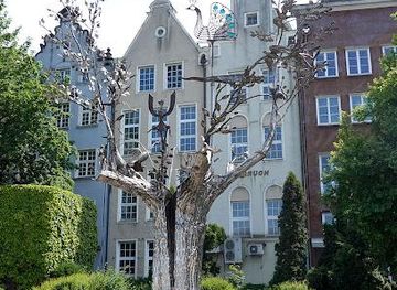 poland/sopot/attraction/millenium-tree