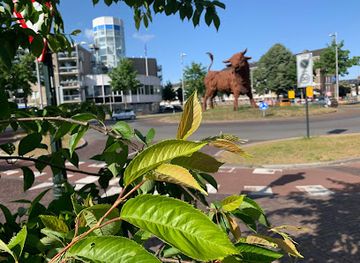 netherlands/amersfoort/attraction/de-stier