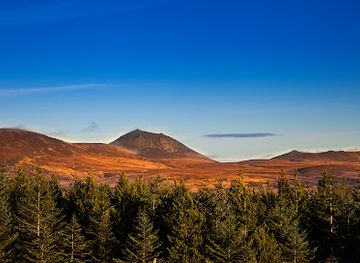 united-kingdom/sutherland/attraction/rspb-forsinard-flows