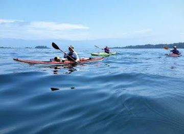 idaho/lewiston/attraction/portland-paddle