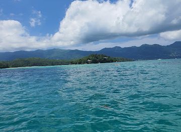 seychelles/curieuse-island/attraction/mcss-coral-restoration-project