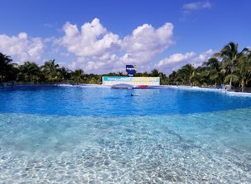 mexico/riviera-maya/attraction/dolphin-discovery-playa-del-carmen