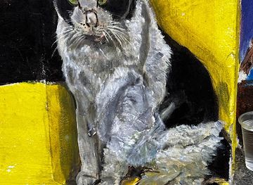 singapore/chinatown/attraction/moo-moo-the-cat-portrait-moo-moo-was-adopted