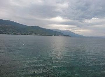 albania/prespa-national-park/attraction/original-ohrid-pearl-filevi