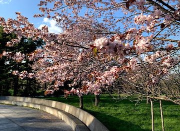 japan/sapporo/maruyama-park/attraction/moerenuma-park