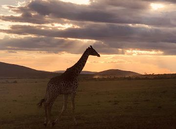kenya/north-eastern-province/attraction/exodus-safaris-tour-operator-travel-agency-nairobi-all-kenya-africa-safaris-vacations-beach-holidays