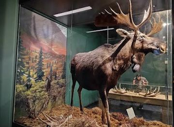 alabama/prattville/attraction/mann-wildlife-learning-museum