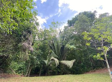 belize/vaca-plateau/attraction/belize-raptor-center