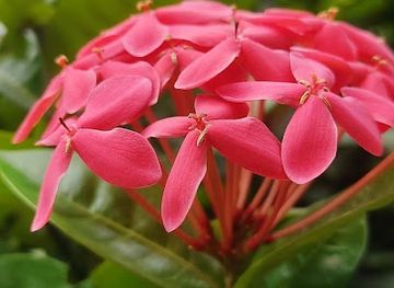 india/chennai/attraction/chennai-day-memorable-wall-art-for-fishermen