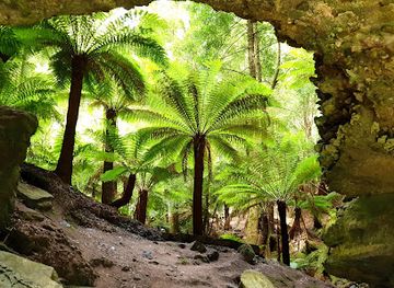 australia/tasmanian-wilderness/attraction/trowutta-arch
