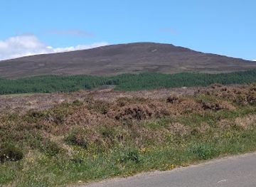 united-kingdom/isle-of-man/attraction/mwt-dalby-mountain-nature-reserve