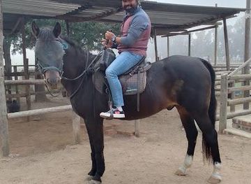 south-africa/cape-peninsula/attraction/once-in-africa-travel