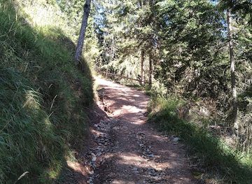 italy/dolomites/attraction/panchina-sul-sentiero-geologico