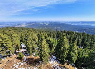 czechia/sumava-national-park/attraction/boubinsky-prales