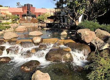 california/san-joaquin-valley/attraction/blackhawk-museum