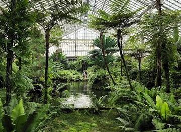 illinois/arlington-heights/attraction/garfield-park-conservatory