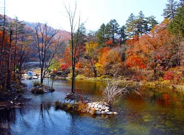 south-korea/gangwon-province/attraction/odaesan-national-park