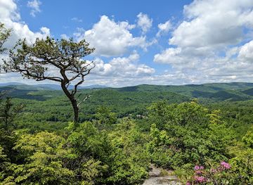 north-carolina/grandfather-mountain/attraction/flat-rock-loop-trail