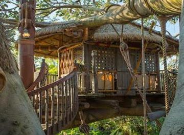 florida/orlando/attraction/swiss-family-treehouse