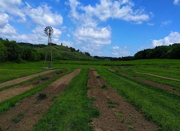 Loess Hills Lavender Farm
