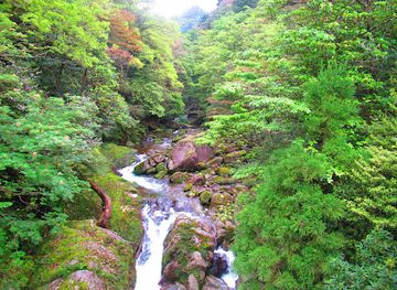 japan/yakushima/attraction/hiryuu-otoshi