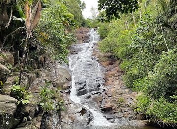seychelles/praslin-island/attraction/mangrove-boardwalk