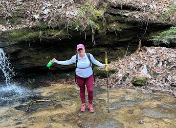 alabama/sipsey-wilderness/attraction/trailhead-for-parker-falls