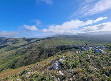 south-africa/overberg/attraction/the-fynbos-trail