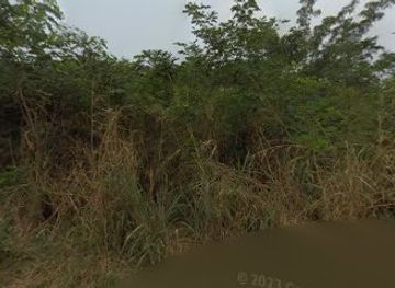 sao-tome-and-principe/monte-cafe/attraction/monte-morro-peixe