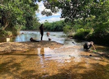 belize/crooked-tree-wildlife-sanctuary/attraction/camino-del-rio-belize